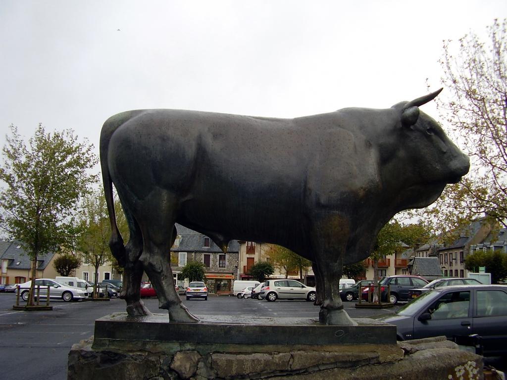 Vvf Aubrac Hotel Chaudes-Aigues Kültér fotó